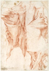 Michelangelo - Nek- en schouderstudie van achter en zijkant gezien, A 042 recto
