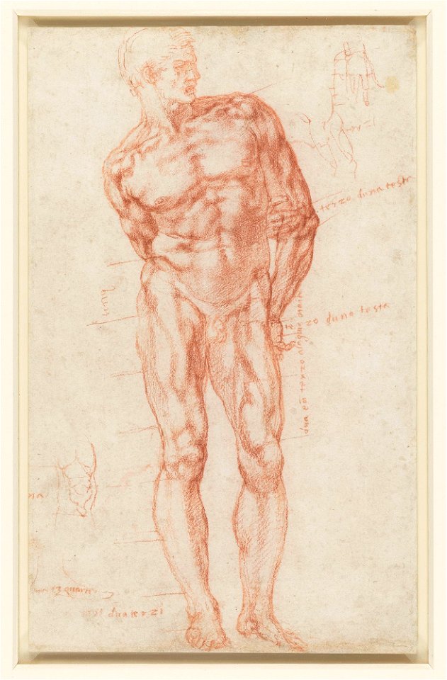 Michelangelo - Recto A male nude with proportions indicated, RCIN 912765