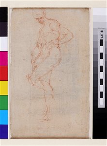 Michelangelo - Verso A Study of a Figure, WA1846.53