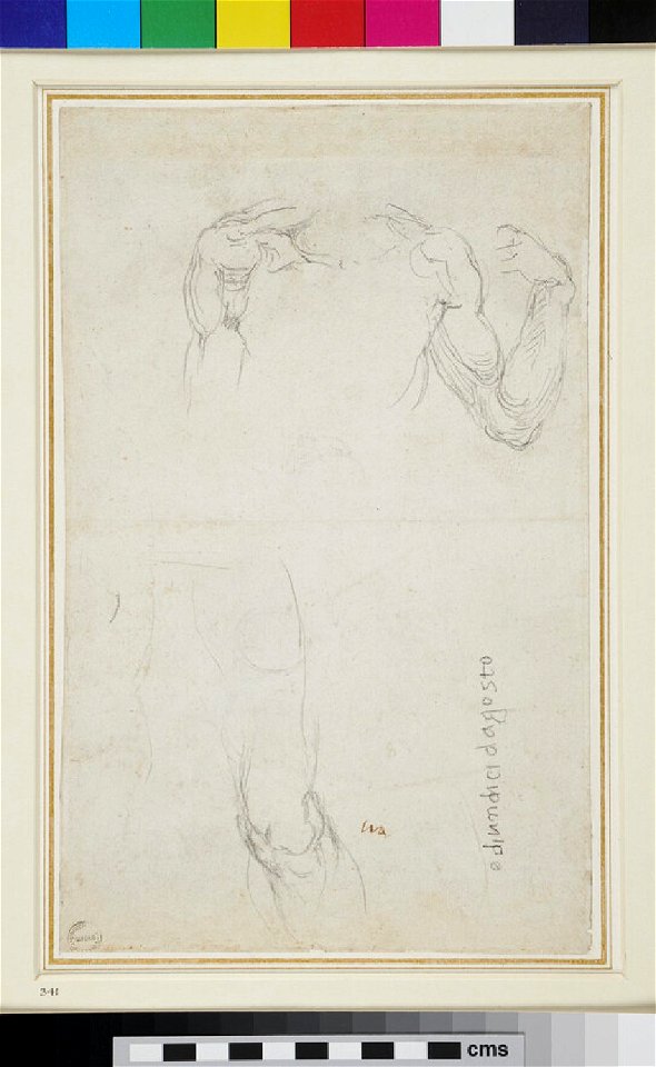 Michelangelo - Recto Studies of Anatomy, WA1846.87