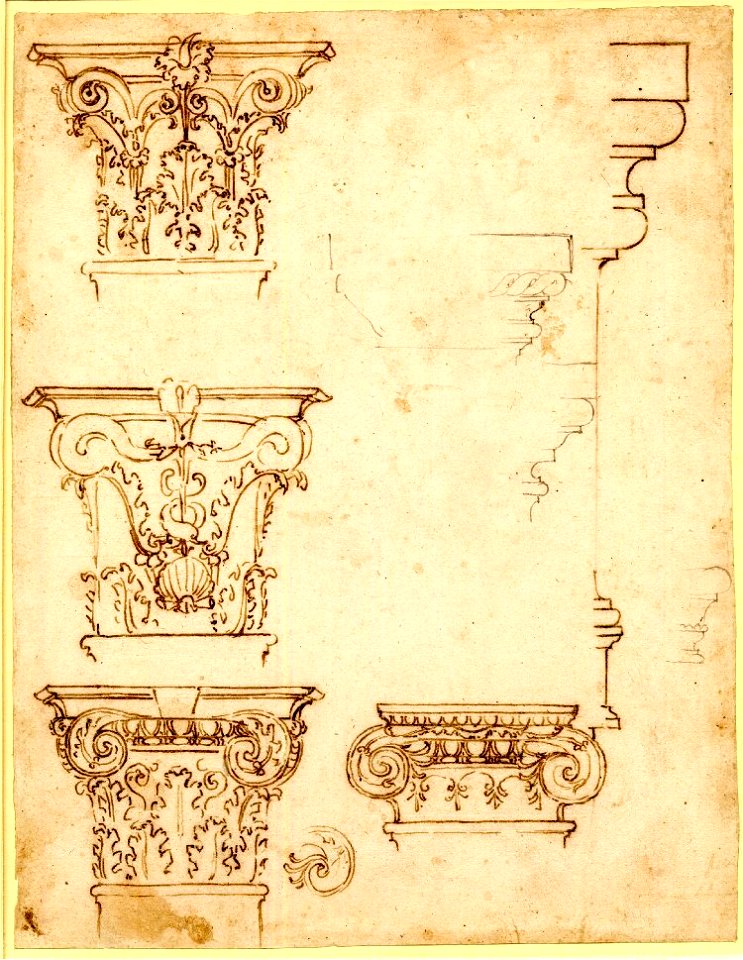 Michelangelo - Capitals and profiles of bases. c. 1515-18, 1859,0625.548
