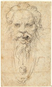 Michelangelo - Head of a Bearded Man, 1932.147. Free illustration for personal and commercial use.