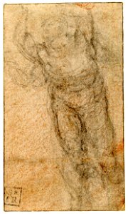 Michelangelo - A nude man in violent motion, 1885,0509.1893
