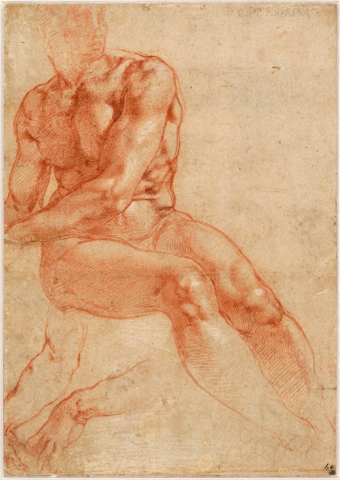 Michelangelo Buonarroti - Seated Young Male Nude and Two Arm Studies (recto), c. 1510-11 - Google Art Project