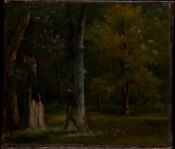 Achille-Etna Michallon, Trees in the Bois de Boulogne, Paris, ca. 1812–15