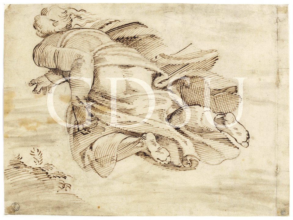 Michelangelo - inv. 1034 S, La creazione delle piante - copia da