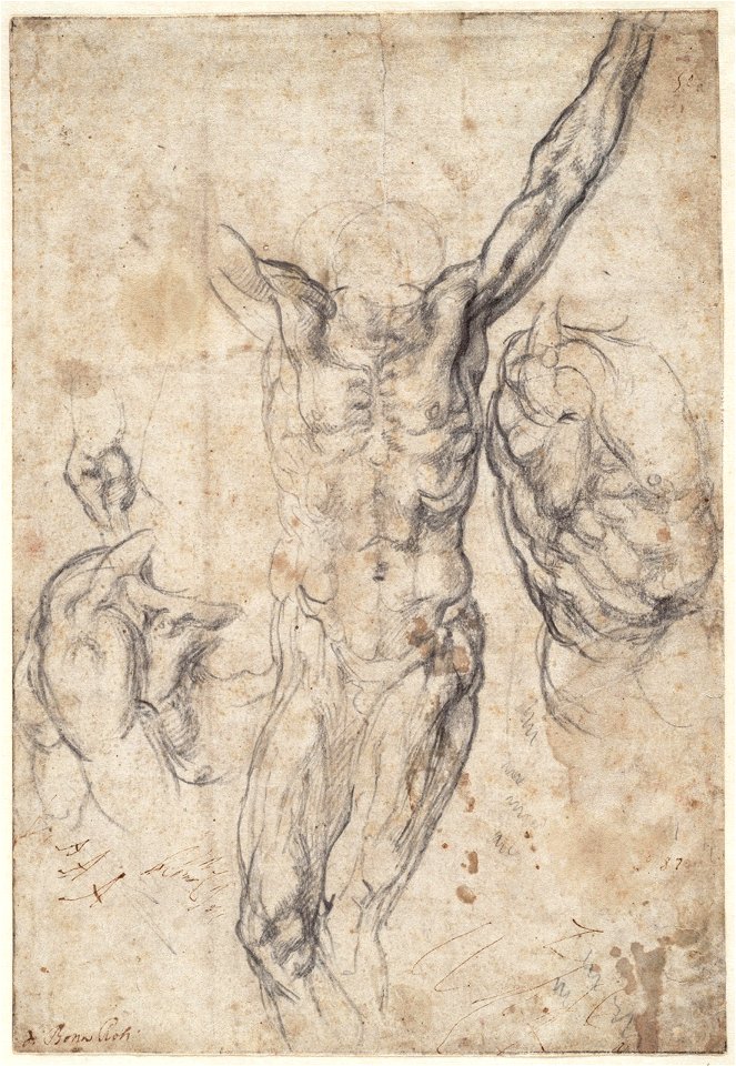 Michelangelo - Figuurstudies; waaronder twee voor een kruisiging, A 034 recto