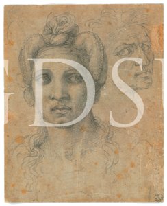 Michelangelo - inv. 603 E, Testa d'uomo volta di tre quarti a destra