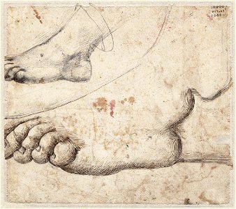 Michelangelo - Voetstudies, A 017 verso