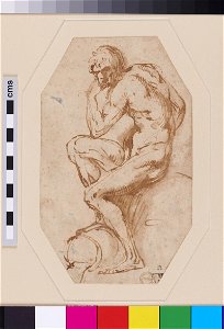 Michelangelo - Nude seated River God, WA1846.22