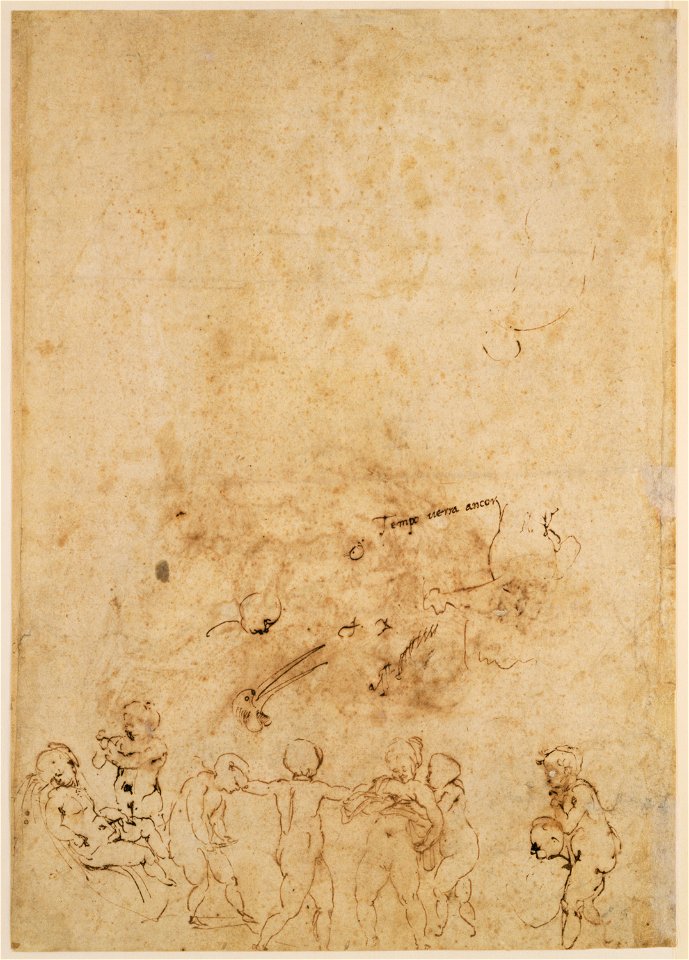 Michelangelo - Amorous Putti at Play; Head of a Bird (verso), 93.GB.51, about 1530