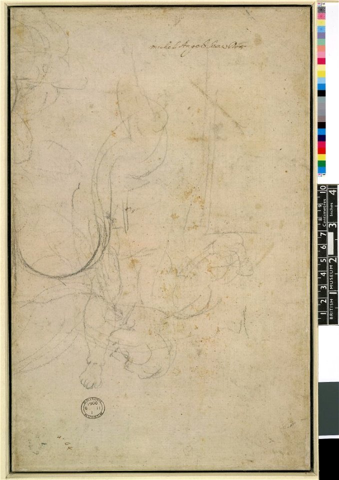 Michelangelo - Verso The Virgin Annuciate, 1900,0611.1