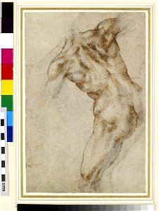 Michelangelo - Recto Nude male Torso (possibly a study for the Battle of Cascina), WA1846.42