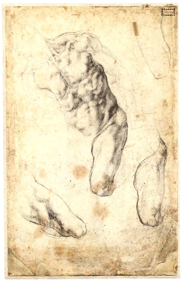 Michelangelo - Studies of a Male Torso and Left Leg (verso), 1519-21