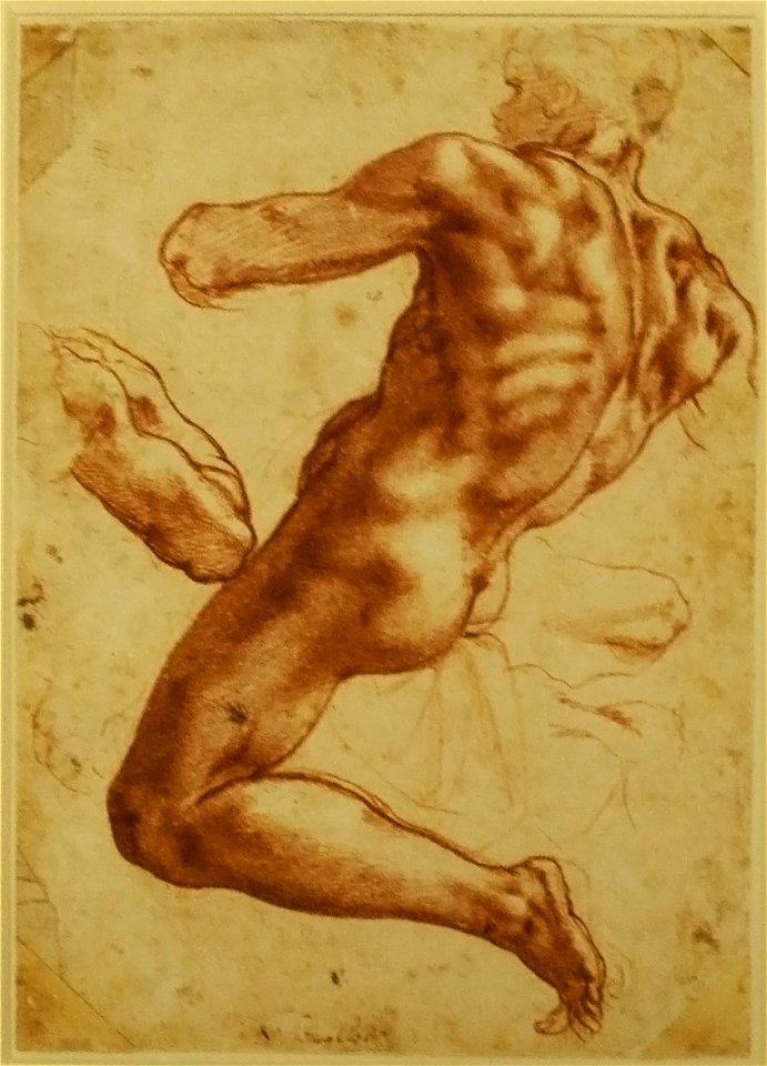 Michelangelo - Study of an Ignudo