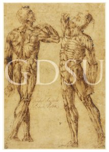 Michelangelo - inv 180 S - scuola