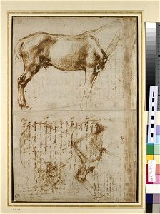 Michelangelo - Recto Studies of a Horse and of a Horseman attacking Foot-soldiers, WA1846.39