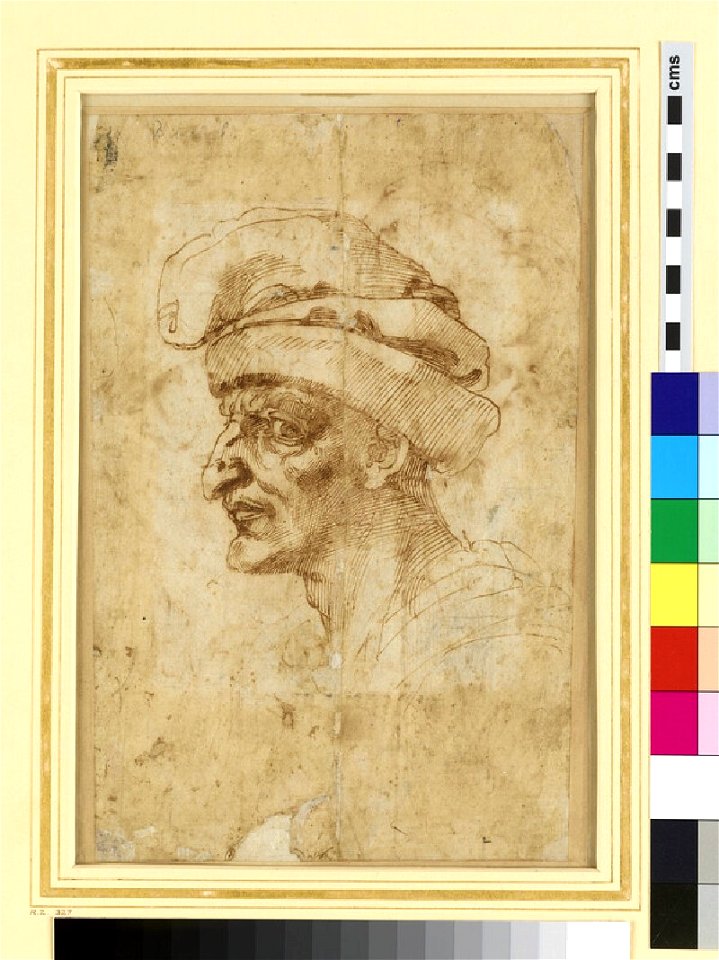 Michelangelo - Recto Head of a Man in Middle Age, WA1846.73