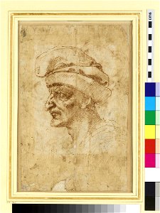 Michelangelo - Recto Head of a Man in Middle Age, WA1846.73
