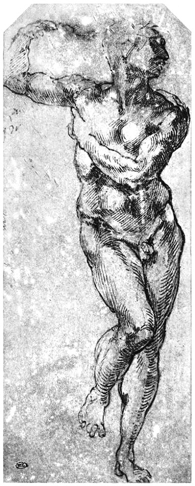 Michelangelo, Nude Man Turned to the Right