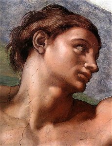 Michelangelo, Creation of Adam 05