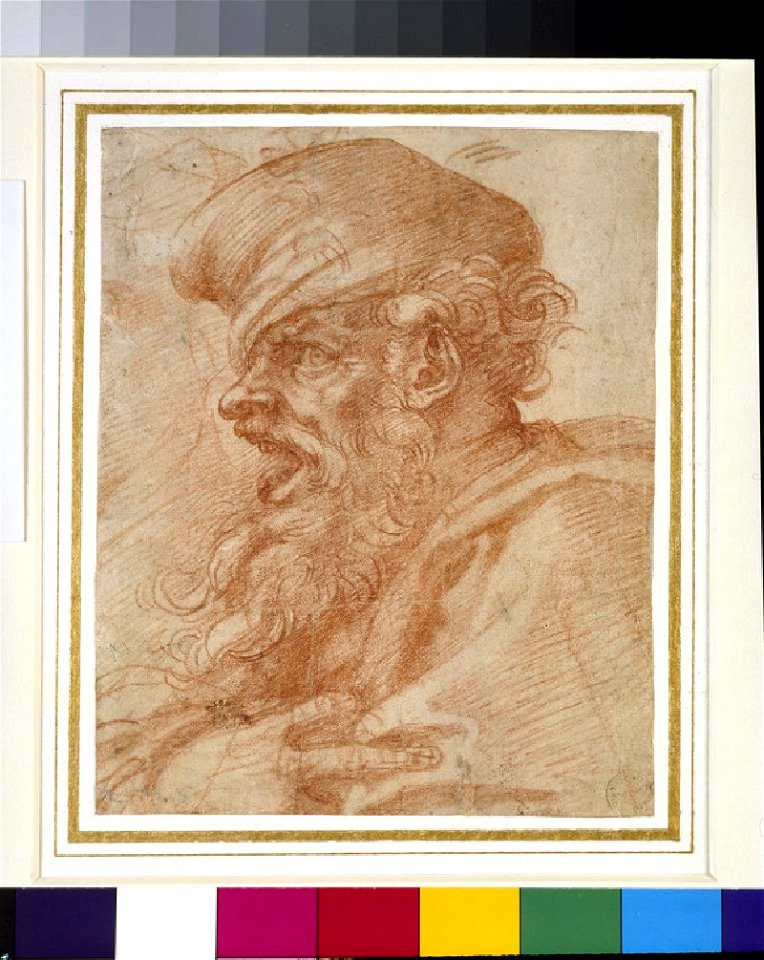Michelangelo - Recto Head of a Bearded Man shouting, WA1846.68