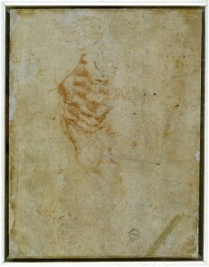 Michelangelo - Verso Male Torso, WA1846.60