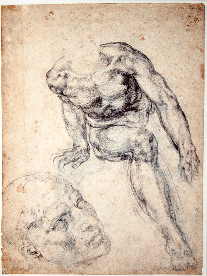 Michelangelo - Study of a male Nude, separate Study of his Head