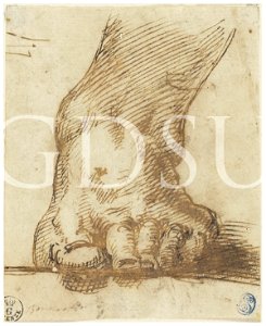 Michelangelo - inv. 177 S, Piede sinistro - attribuzione tradizionale