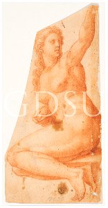 Michelangelo - inv. 18237 F r., Eva - copia da