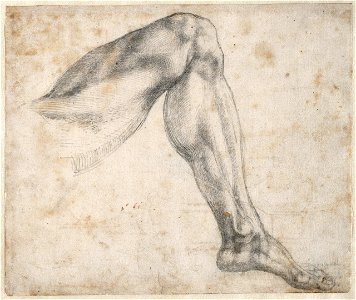 Michelangelo - Waarschijnlijk studie voor de sculptuur 'Dag' op de tombe van Giuliano de' Medici, A 033 recto