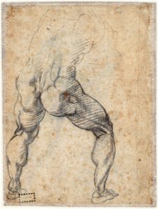 Michelangelo - Study for a standing male nude, seen from behind, A 023 verso