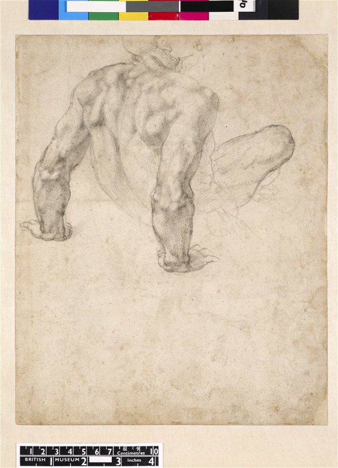 Michelangelo - Study for a man rising from the tomb; seen from behind, his hands behind him, supporting his body. 1540, 1886,0513.5