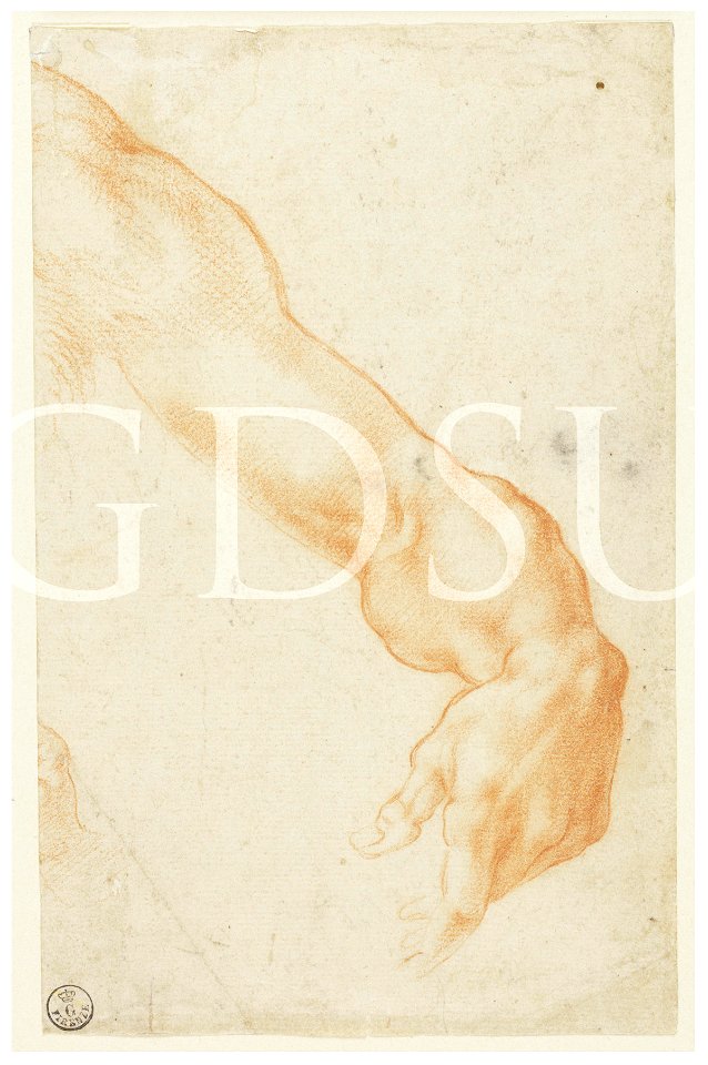 Michelangelo - inv. 239 F r., Braccio sinistro - copia da