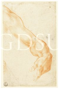 Michelangelo - inv. 239 F r., Braccio sinistro - copia da