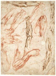 Michelangelo - Anatomische studies van arrmen, benen en handen, A 028 recto