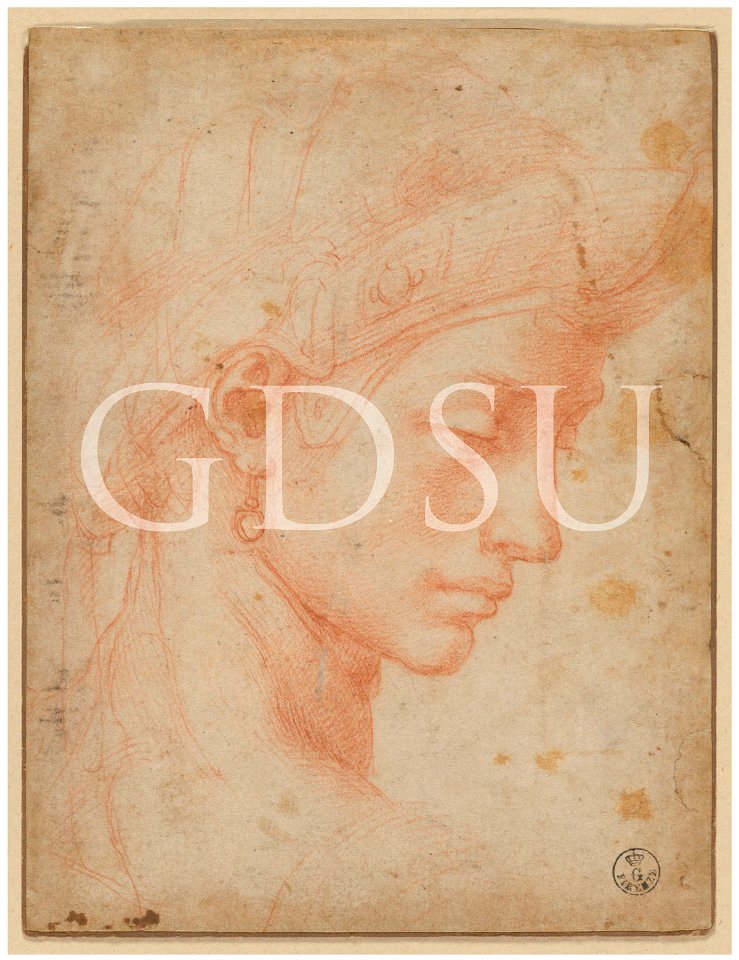 Michelangelo - inv. 602 E, Testa di donna - copia da