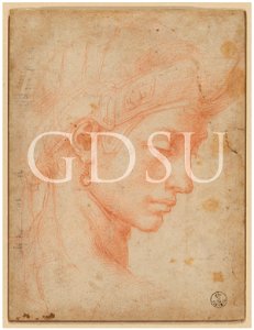 Michelangelo - inv. 602 E, Testa di donna - copia da