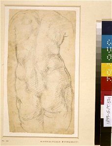 Michelangelo - Torso of a statue of Venus, seen from behind. Mid-1520s, 1859,0625.571