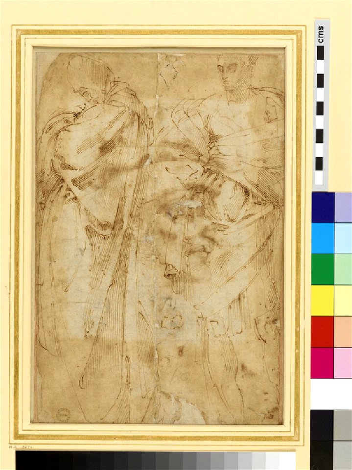 Michelangelo - Verso Head of a Man in Middle Age, WA1846.73