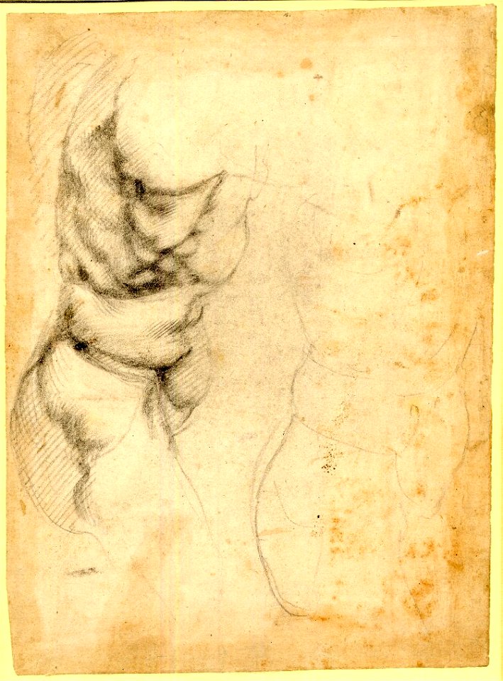 Michelangelo - Two studies of a male torso in profile to r. 1519-23, 1859,0625.563