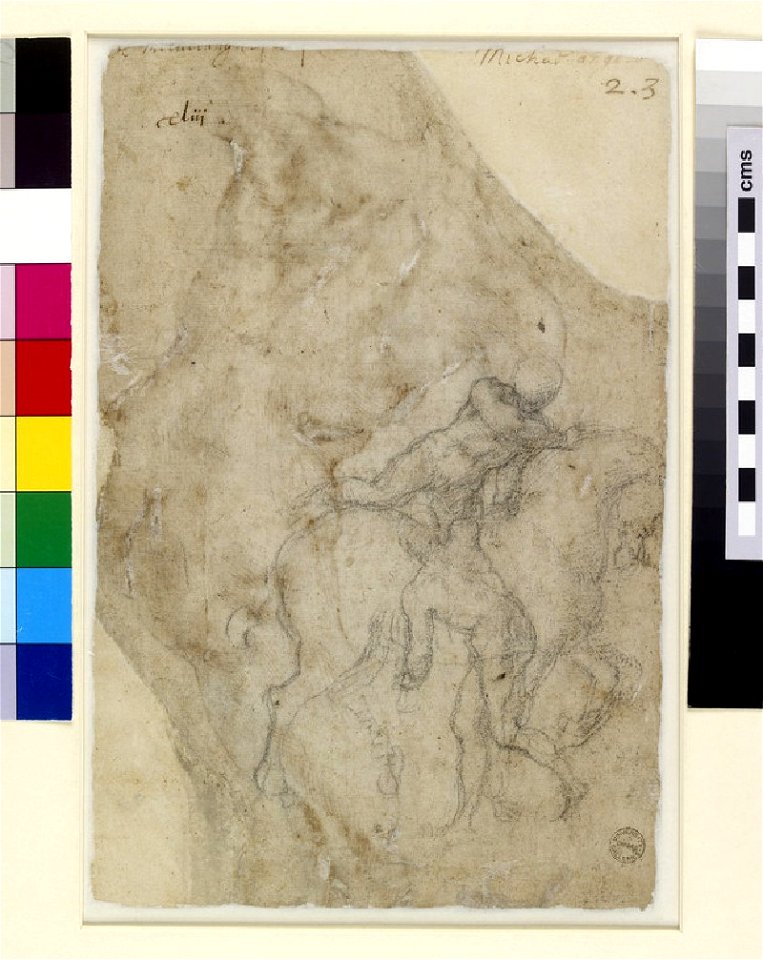 Michelangelo - Verso Two male Nudes and a Horse, WA1846.42