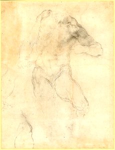 Michelangelo - Studies for the St Bartholomew in the 'Last Judgement'; the whole, nude figure to the front, omitting the head and the lower part of the the r leg, 1859,0625.556