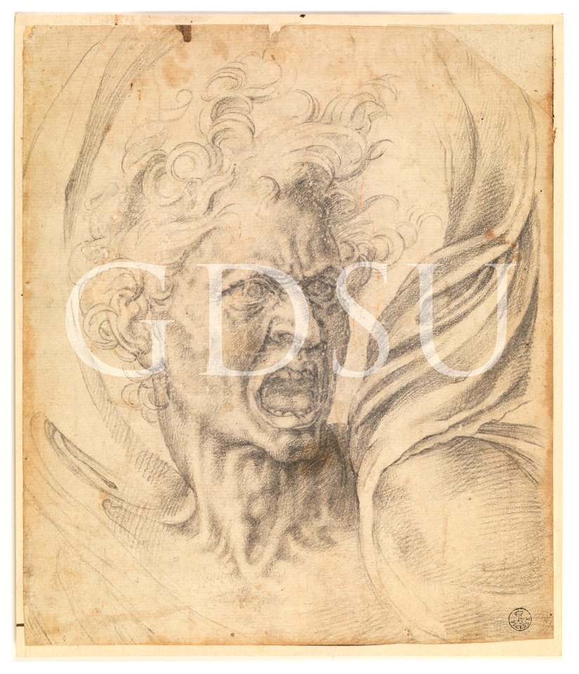 Michelangelo - inv. 18738 F, Anima dannata - copia da