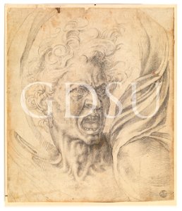 Michelangelo - inv. 18738 F, Anima dannata - copia da