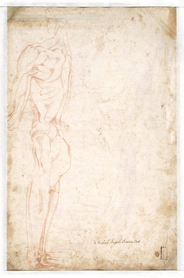 Michelangelo - Studie van een knielende man, linkerzijde, A 037 verso