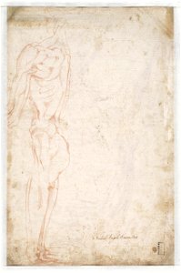 Michelangelo - Studie van een knielende man, linkerzijde, A 037 verso