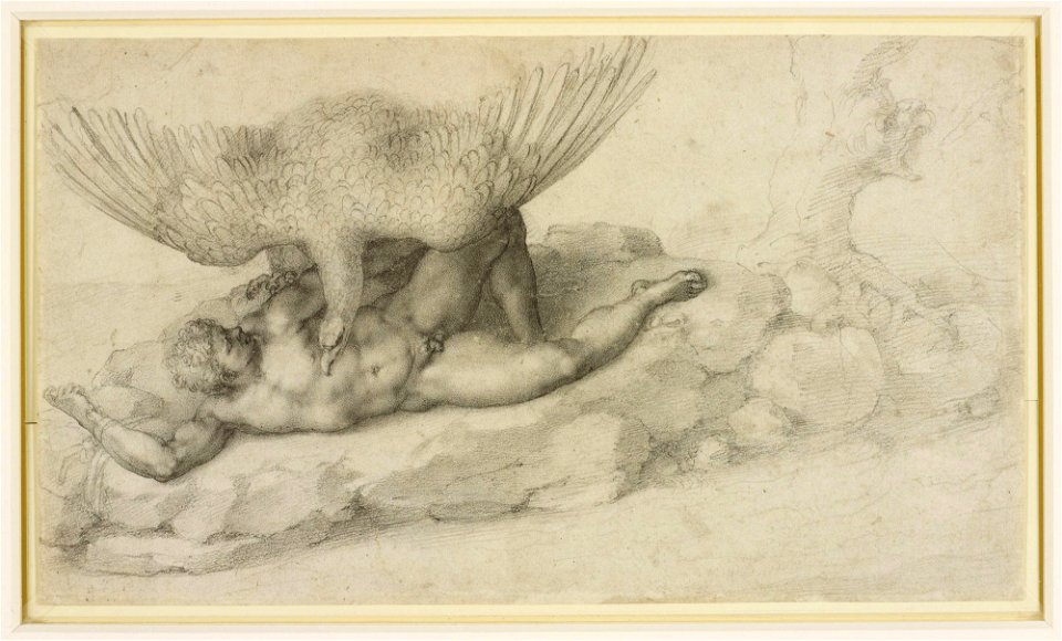 Michelangelo Buonarroti - Tityus - WGA15503