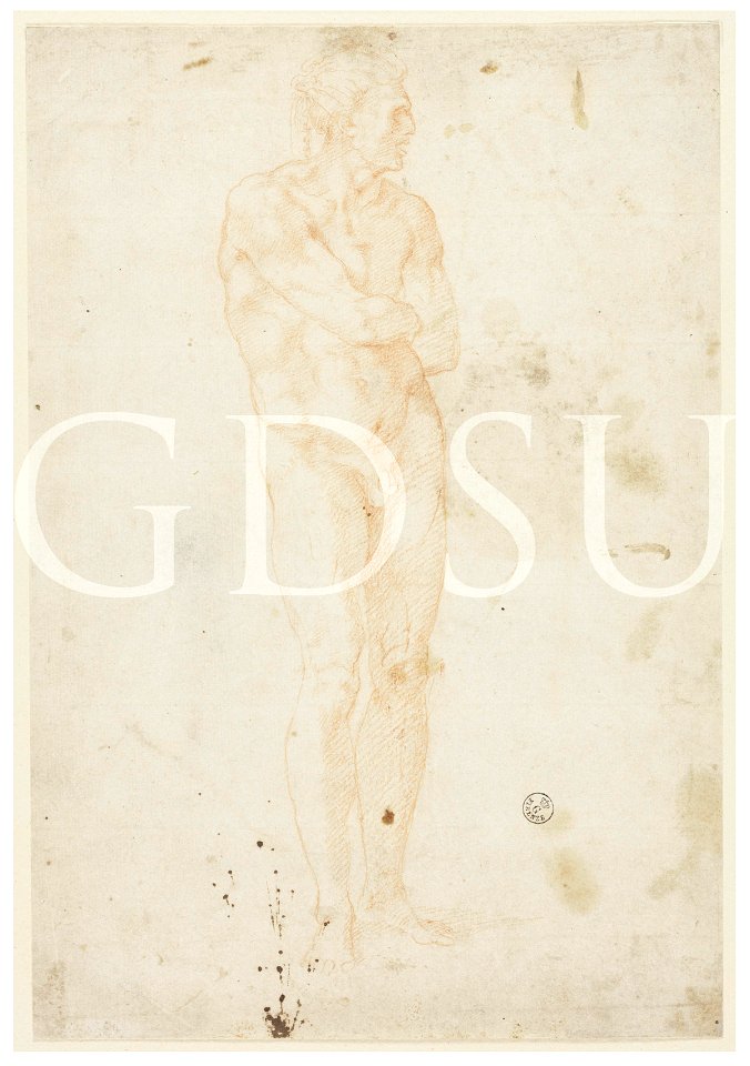 Michelangelo - inv. 6550 F r., Figura maschile nuda - copia da