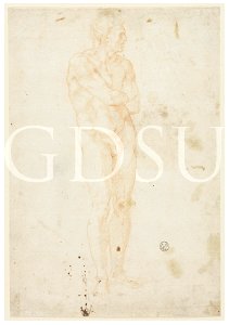 Michelangelo - inv. 6550 F r., Figura maschile nuda - copia da